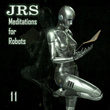 Meditations for Robots 11