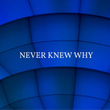 Never Knew Why
