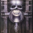 Brain Salad Surgery
