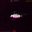 Mud
