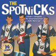 The Spotnicks