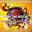 Sing The Hits Of Crosby, Stills, Nash & Young (karaoke Version)