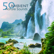 50 Ambient Nature Sounds - Relaxing Natural Music with Sounds of Nature of Mother Earth for Complete Ease, Sleep and Relax