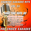 Country Karaoke Hits, Vol. 105