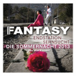 Endstation Sehnsucht - Die Sommernacht 2013 (live)
