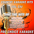Country Karaoke Hits, Vol. 115