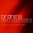 Brahms Violin Concerto