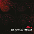 Bir Güzellikyapsana