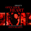 Open Your Heart (open Hearts Soundtrack)
