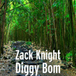 Diggy Bom