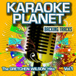 The Gretchen Wilson Hits, Vol. 1
