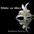 White as Lilies
