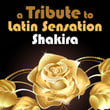 A Tribute To Latin Sensation Shakira