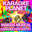 Various Musical Karaoke Hits, Vol. 21