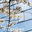 Mindfulness, Meditative Music
