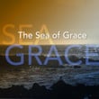 The Sea of Grace