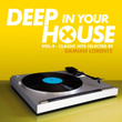 Deep In Your House, Vol. 4 - Classic Hits Selected By Damian Lorentz