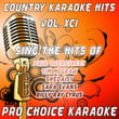 Country Karaoke Hits, Vol. 91
