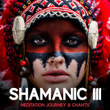 Shamanic 111 – Meditation Journey & Chants (Native American Flute and Drums, Spiritual Healing Music)