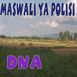Maswali Ya Polisi