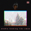 Studio Looking Like Xmas