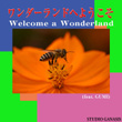 Welcome a Wonderland