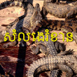 SE Asian Noise(s)