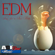 EDM Time for a New Birth (Dance & Workout)