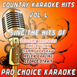 Country Karaoke Hits, Vol. 50
