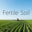 Fertile Soil