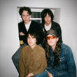 Beach Fossils