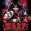 W.A.S.P.