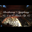 Beethoven:Symphony No. 5 in C Minor, Op. 67