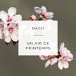 Bach: Un air de printemps