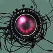Pupil
