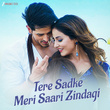 Tere Sadke Meri Saari Zindagi