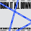 Burn It All Down (Remix)