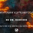 Montagem Eletromatica