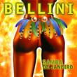 Samba de Janeiro