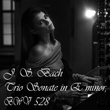 J. S. Bach: Trio Sonate in E Minor, BWV 528