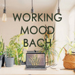 Working Mood - Bach