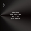 Marimba Beethoven: Melodic Resonance