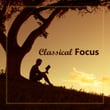 Classical Focus: Vivaldi