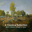 "A Classical Reflection"