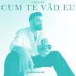 Cum te văd eu (Remix By Golstox)