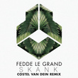 Skank (Costel van Dein Remix)