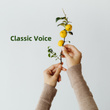 Classic Voice