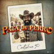 Pata De Perro