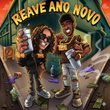 REAVE ANO NOVO