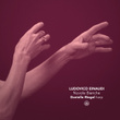 Einaudi: Nuvole Bianche (Arr. for Harp by Danielle Riegel)